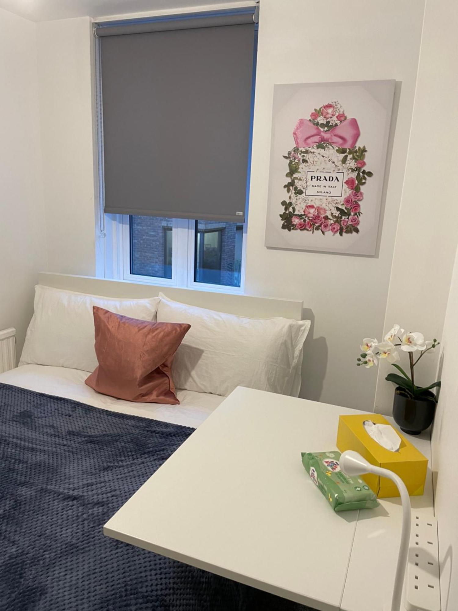 Lovely Double Rooms In Euston & Square In Central London Kültér fotó